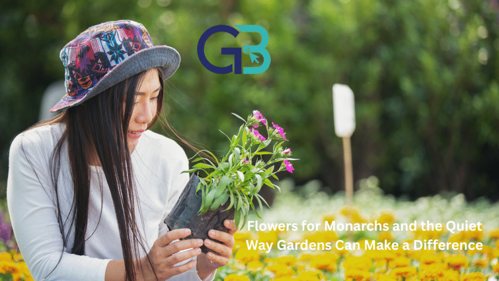 flowers for monarchs